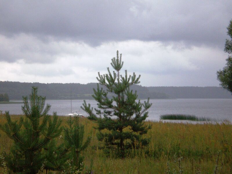 Файл:DringisLake001.JPG