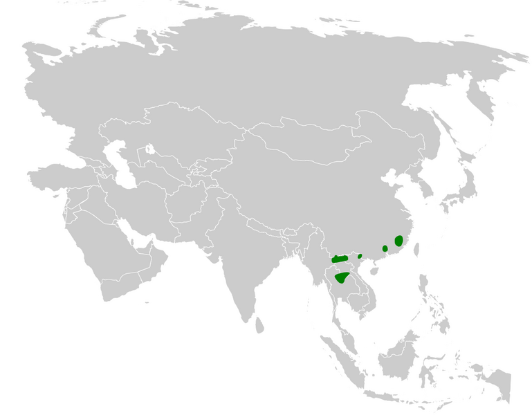 Файл:Neosuthora davidiana distribution map.png