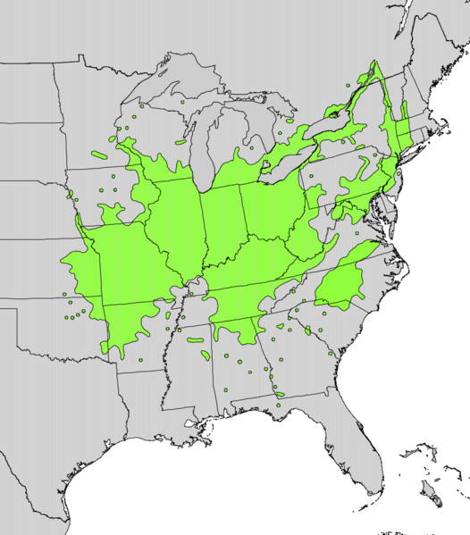 Файл:Staphylea trifolia range map.png