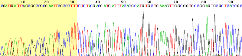 Файл:Sanger sequencing read display.png