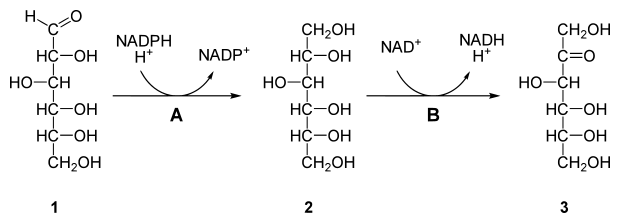 Файл:Polyol pathway.svg