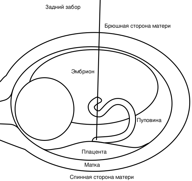 Файл:Posterior Sampling-ru.svg