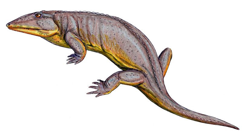 Файл:Axitectum reconstruction 2.jpeg