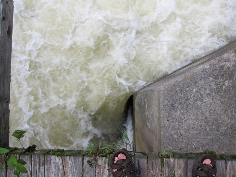 Файл:Flow separation in a river.JPG