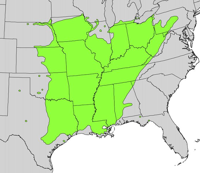 Файл:Gleditsia triacanthos range map.jpg