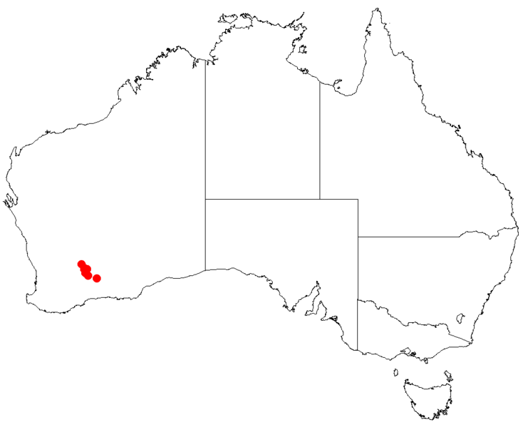 Файл:Hakea pendensDistMap105.png