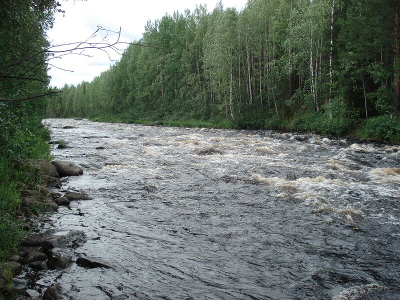 Файл:Vonga assu.JPG