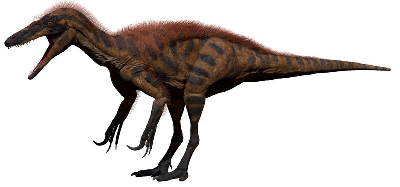 Файл:Australovenator Model.jpg