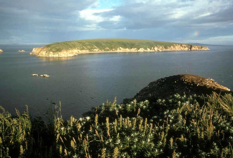 Файл:Chamisso Wilderness.jpg