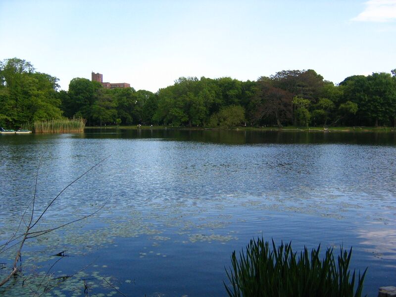 Файл:Prospect Park lake.jpeg