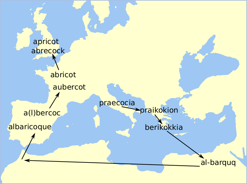 Файл:Apricot Etymology Map.svg