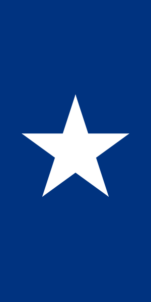 Файл:Fin Flash of Chile.svg