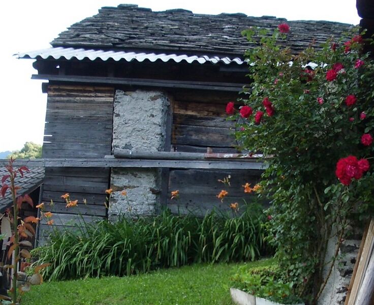 Файл:Landarenca07.JPG