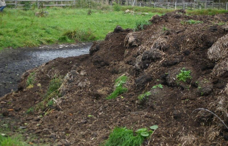 Файл:Dung-heap.JPG