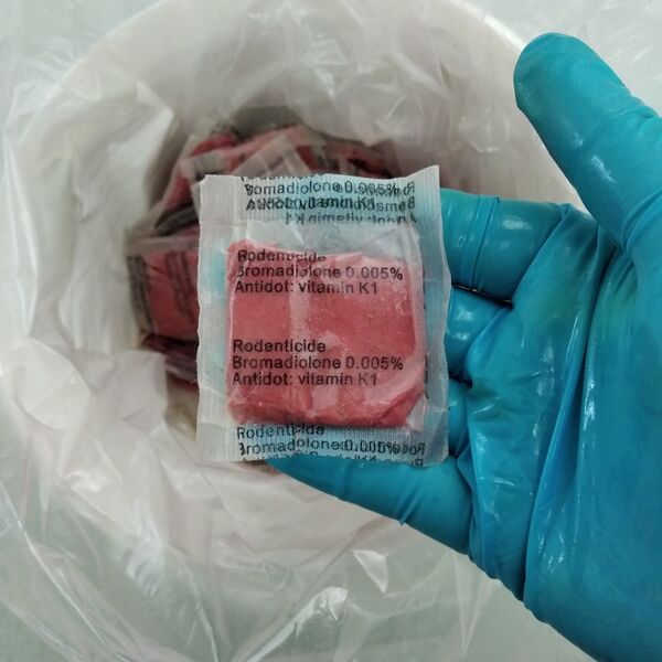 Файл:Bromadiolone paste.jpg