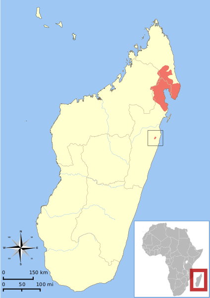 Файл:Eulemur albifrons range map.svg