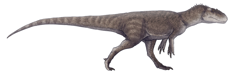 Файл:Gasosaurus constructus.png