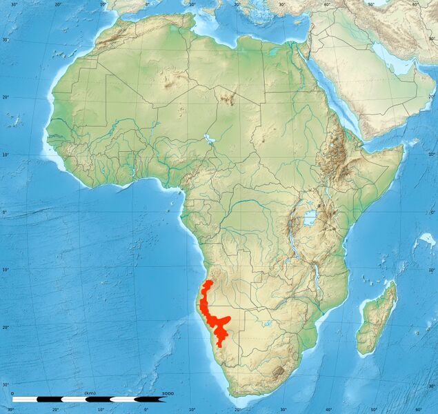 Файл:Approximate Distribution of Python anchietae.jpg