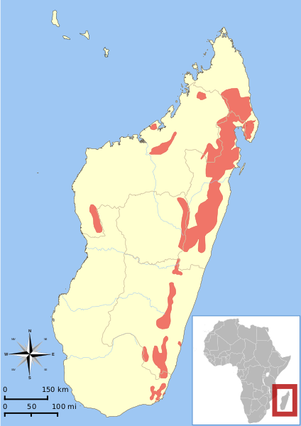 Файл:Avahi range map.svg