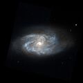 Миниатюра для версии от 21:07, 20 ноября 2023