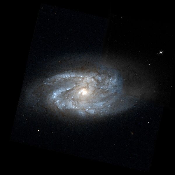 Файл:NGC2964-hst-R814GB40.jpg