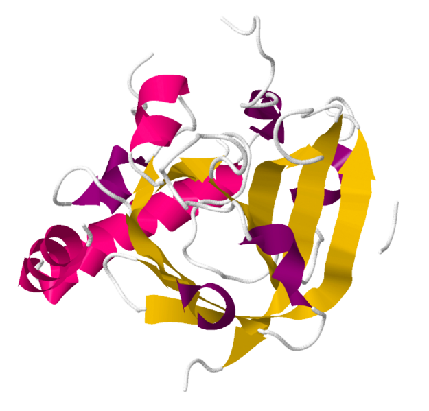 Файл:Sortase.png