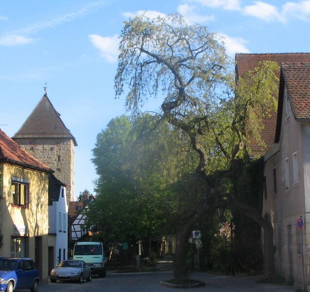 Файл:Treegate Altdorf.jpg