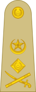 Файл:OF-9 Pakistan Army.svg