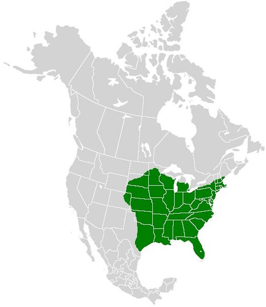 Файл:Papilio glaucus range map.JPG