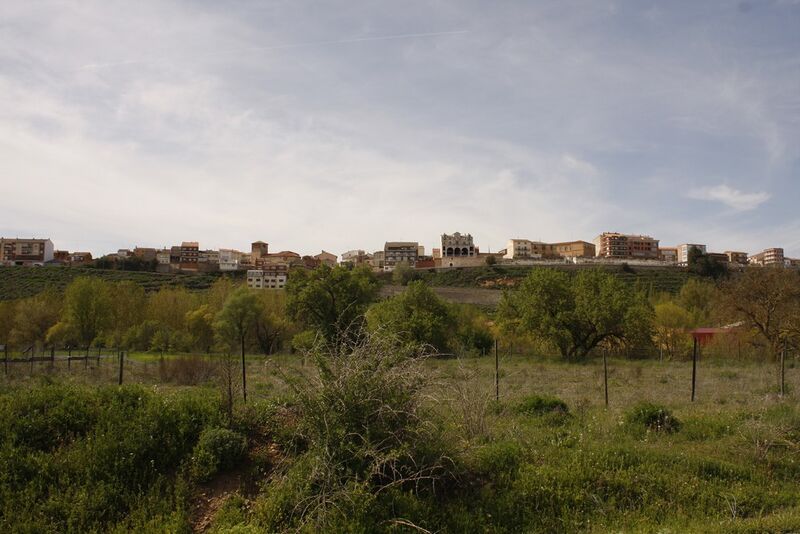 Файл:Roa de duero01.jpg