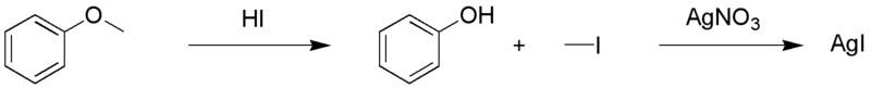 Файл:Zeisel01.png
