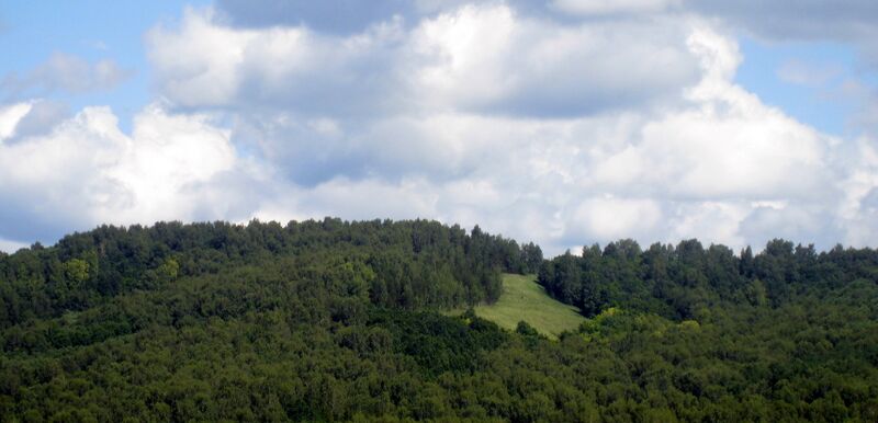 Файл:Bavly hills.jpeg
