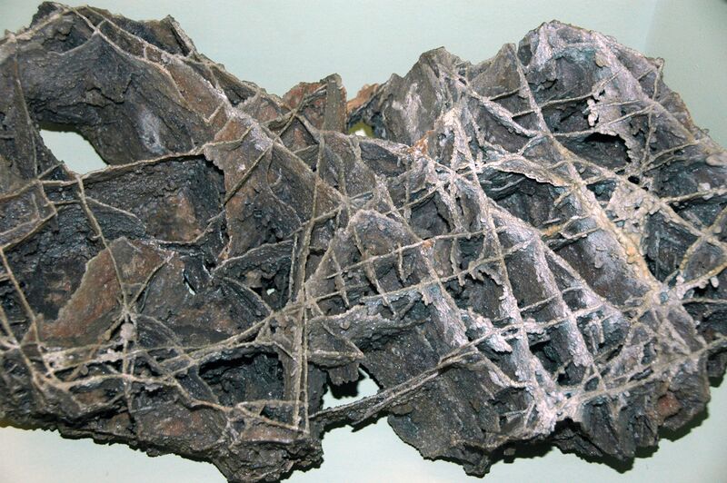 Файл:Calcite boxwork, Wind Cave.jpg
