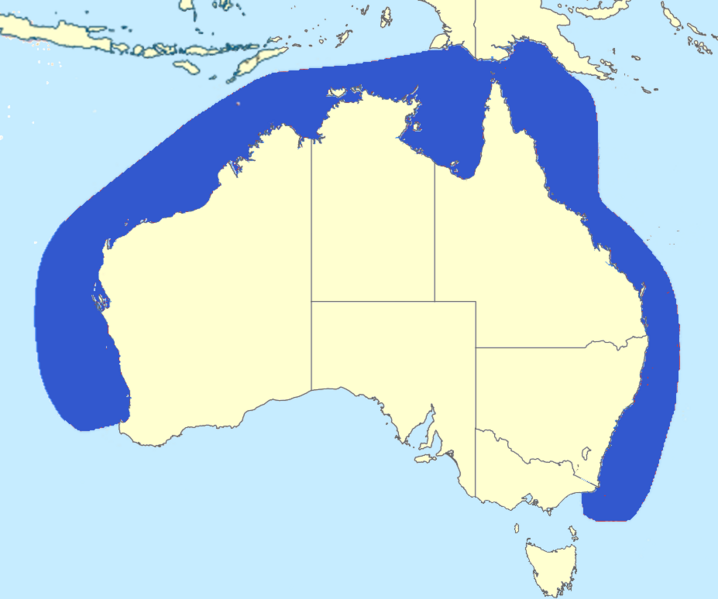 Файл:Cybiosarda elegans range.png