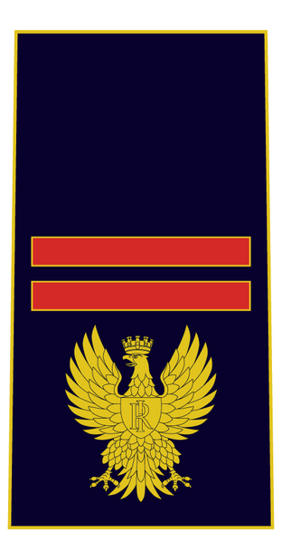 Файл:Assistente ps.png