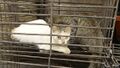 Миниатюра для версии от 18:44, 26 сентября 2023