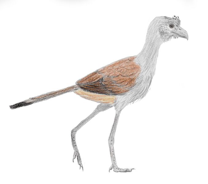 Файл:Strigogyps restoration.jpeg