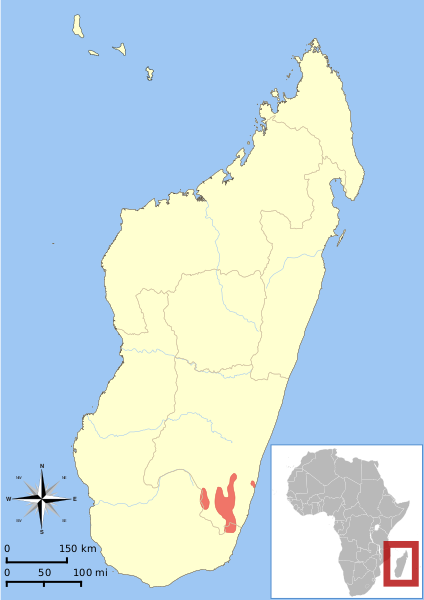 Файл:Avahi ramanantsoavanai range map.svg