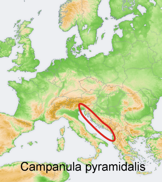 Файл:Distribution map Campanula pyramidalis.png