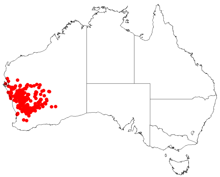 Файл:Hakea recurvaDistMap117.png