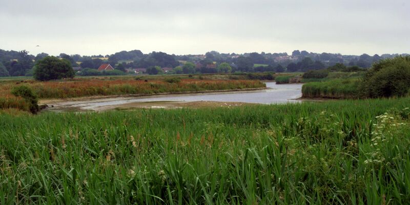 Файл:Cmglee Manningtree Dedham Vale.jpg