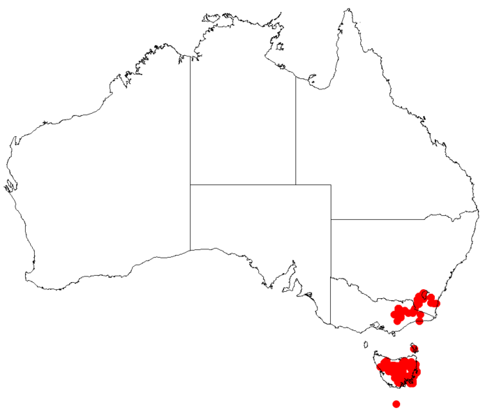 Файл:Hakea lissospermaDistMap75.png