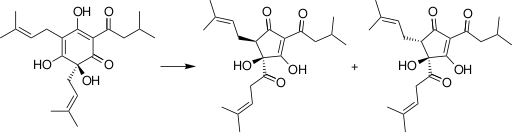 Файл:S-Humulone Isomerization.svg