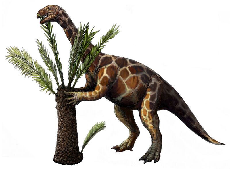 Файл:Unaysaurus.jpg