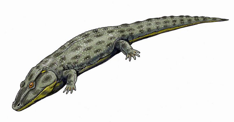 Файл:Intasuchus124DB.jpg