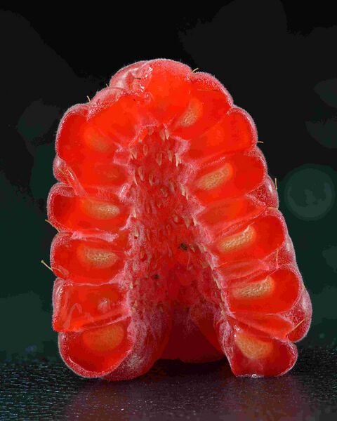 Файл:Raspberry - halved (Rubus idaeus).jpg