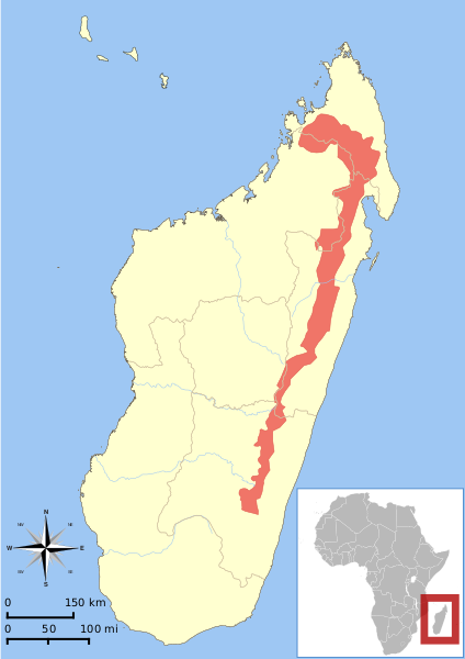 Файл:Eulemur rubriventer range map.svg