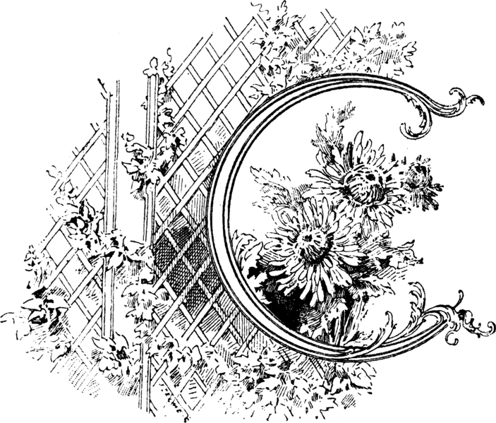 Файл:Page89C.gif