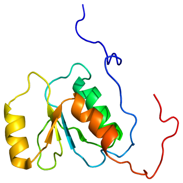Файл:Protein RFC1 PDB 2EBU.png