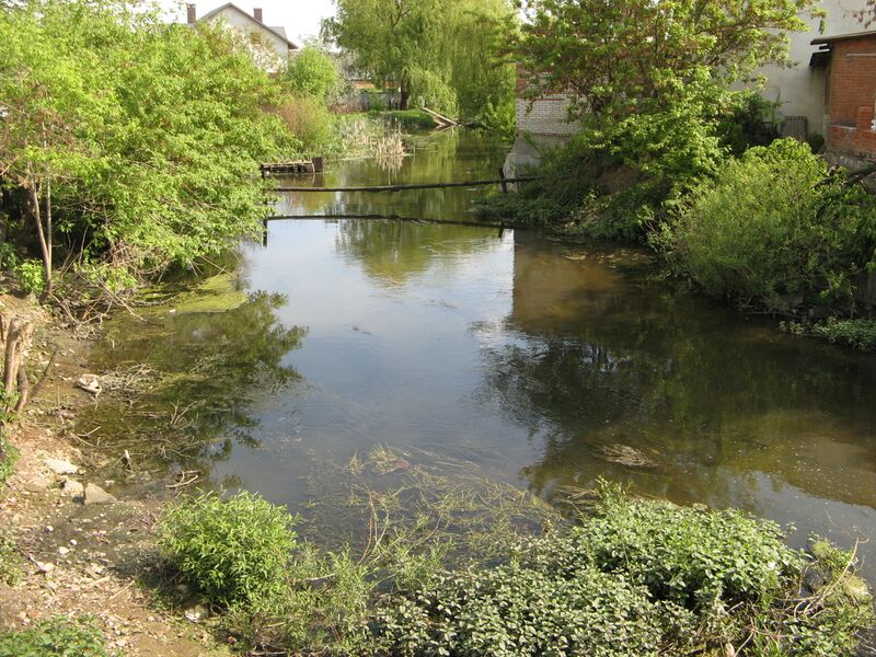 Файл:Vereshchytsia River.JPG